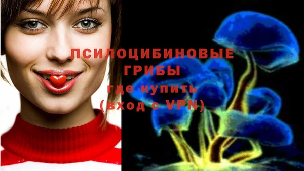 прущие грибы Армянск
