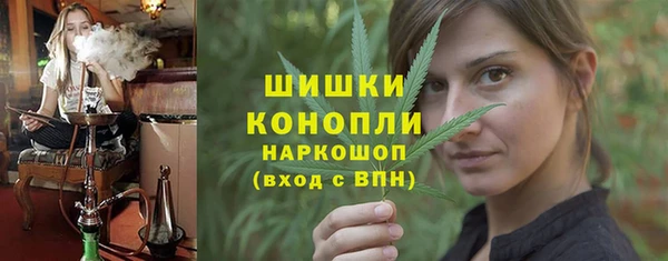 прущие грибы Армянск