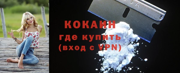 ешки Аркадак