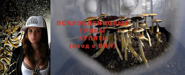 гидропоника Арсеньев