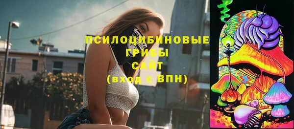прущие грибы Армянск