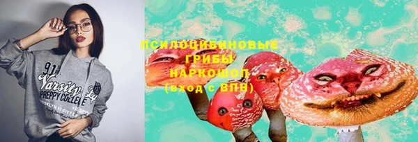 ешки Аркадак