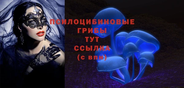 ешки Аркадак